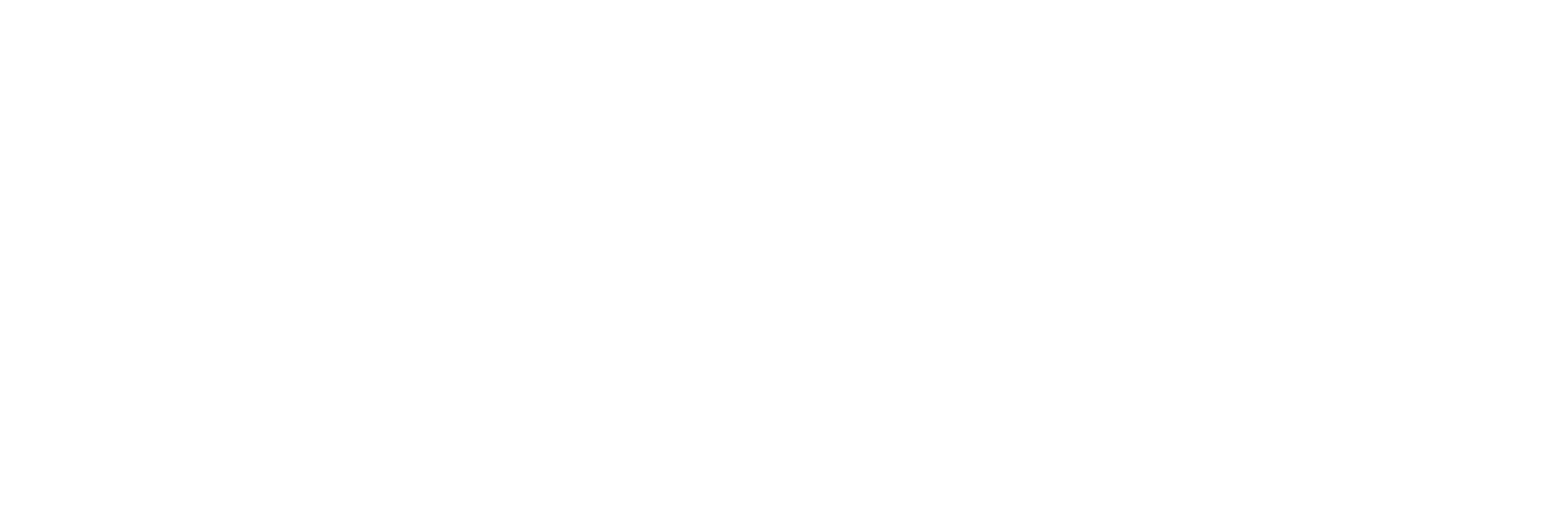 SaleConnex